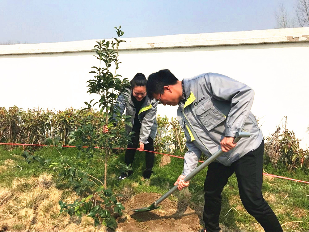 “青年林”待茂 青春正当时